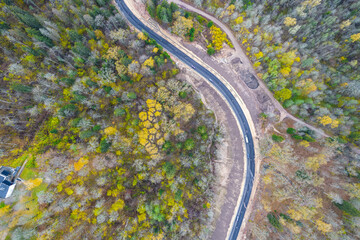 Aerial view from drone of concrete road leading through autumn dense forests and groves in yellow green colors. Trees in golden time and empty highway in fall season. Roadway among colorful treetops 