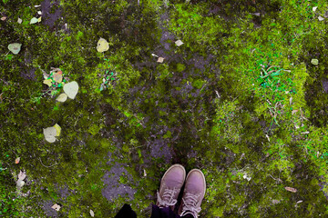 Person in brown hiking boots standing on green moss-covered ground