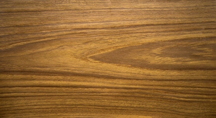 The texture of light wood with semicircular waves. Wooden background for text. Wooden board.