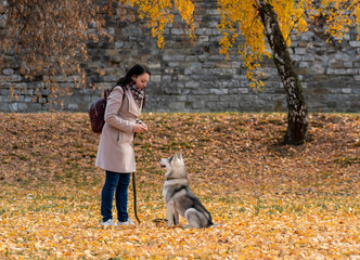 young woman training her husky dog in city park © Evgeny