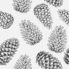 Pine cone seamless pattern sketch - 464892907
