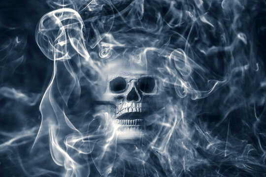 Skull on black background. Halloween concept.