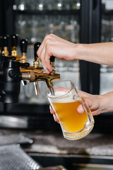 Close-up of the bartender filling a mug of light beer. The bar counter in the pub.