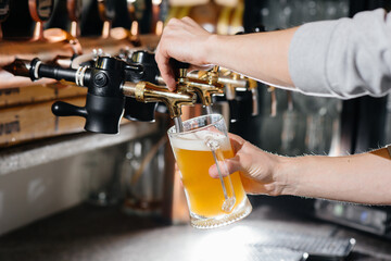Close-up of the bartender filling a mug of light beer. The bar counter in the pub.