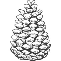 Pine cone sketch engraving Isolated - 464893196