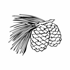 Christmas element. Christmas pinecone. Vector illustration design element set. Isolated vector design. Template for design.