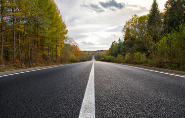 road in autumn fores