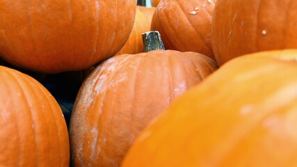 pumpkin on a wooden table