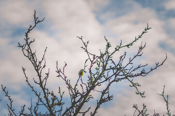 sad nostalgic atmosphere of autumn