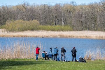 Eine Gruppe Ornithologen von hinten am Burgsee Schloss Gottorf