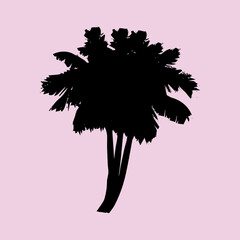 Palm tree vector silhouette illustration png 