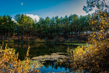 Forest lake in autumn!