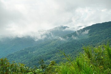  Fog on Doi Suthep mountain in chiang mai,Thailand - 464899337