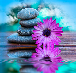 Fototapeta na wymiar fila de piedras y una flor reflejadas en el agua
