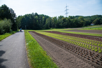 Auf dem Saarradweg