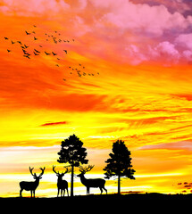 Fototapeta na wymiar paisaje de un atardecer en el campo con unos ciervos