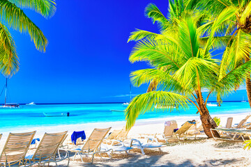 Palm trees with sun loungers on the caribbean tropical beach. Saona Island, Dominican Republic. Vacation travel background