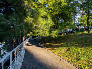 Sochi, Russia, October 19, 2021. Picturesque alley near the sea