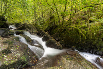 Long exposure of a waterfall on the Hoar Oak Water river flowing through the woods at Watersmeet in Exmoor National Park