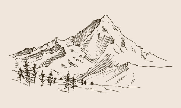 Hand drawn vector landscape with mountains, trees and mountains valley. Perfect for banner, poster and sticker design. 