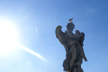 Fototapeta premium the city roma