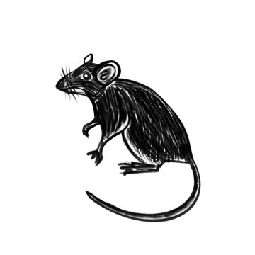 Vector sketch of a small black mouse, black lines