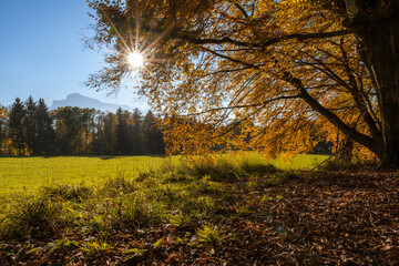 autumn in the park Aigner Park Salzburg Untersberg