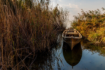 A boat among the reeds.