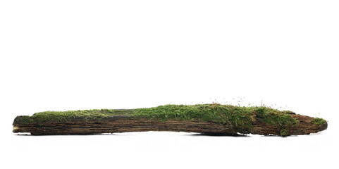 Green moss on rotten wood isolated on white background, side view