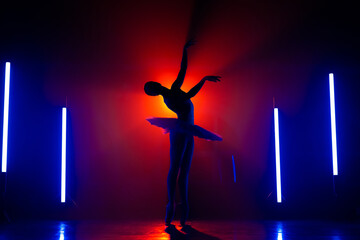 Solhouette of ballerina is practicing elements in studio with neon colorful light. Young woman dancing in classic tutu dress. Gracefulness and tenderness in every movement.