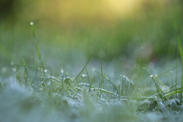 frost