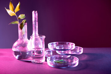 Test tubes flasks and petri dishes, laboratory glassware. Medicine and biological or chemical research,