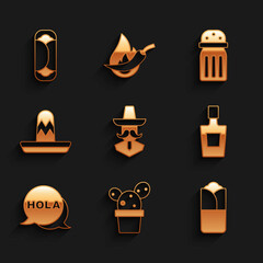 Set Mexican man sombrero, Cactus or succulent in pot, Burrito, Tequila bottle, Hola, Salt and icon. Vector © vector_v