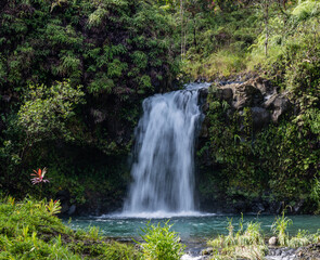 Fototapeta na wymiar Scenic waterfall along the road to Hana, east Maui shore, Hawaii