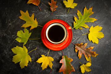 coffee cup autumn leaves on concrete background
