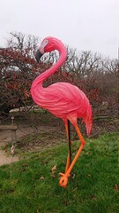JARDIN DES PLANTES PARIS