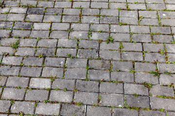 concrete tiles on the road with grass