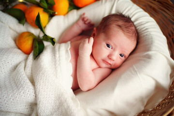 Caucasian newborn baby lies in a basket with tangerines under a white blanket. High quality photo