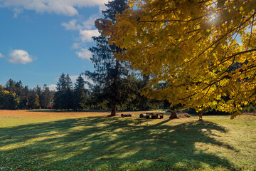 Autunno presso Altipiani di Arcinazzo