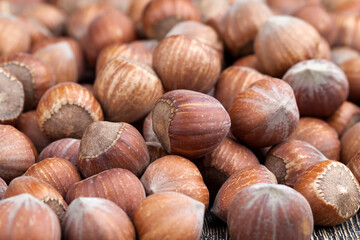 whole hazelnuts on a wooden table,in shell