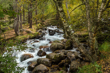 Obraz premium Stormy river in the autumn mountains of the Caucasus