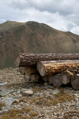 Pile of sawn logs