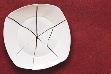 Broken Plate. White Shards, splinters