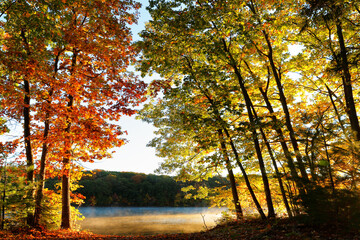 Beautiful New England Fall Foliage with reflections at sunrise, Boston Massachusetts.