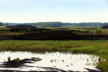 the flooded area where peat is extracted