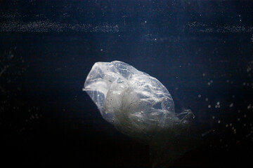 Plastic bag. Garbage in nature.