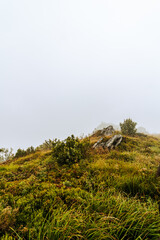 End of summer in the mountains. Bieszczady trails in the fog.