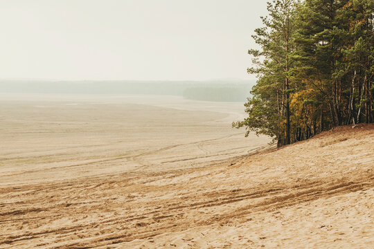 Bledow desert (pustynia bledowska) biggest sand desert in Poland