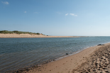 View of Newburgh Seal Beach and River Ythan. Blue sky sunny day. Beach near Aberdeen in Scotland.