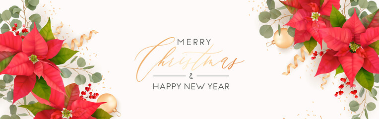Merry Christmas and Happy New Year header for website. Xmas realistic Poinsettia flower vector banner